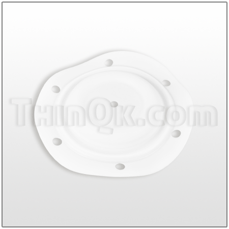Diaphragm (T96538) PTFE
