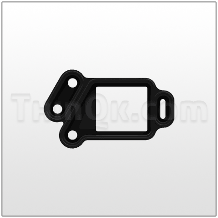 Gasket (T96214-1) BUNA