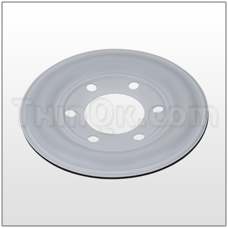Diaphragm (T800180165) PTFE incl BACKUP