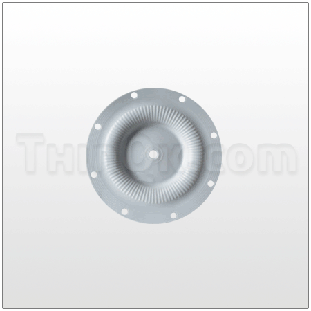 Garlock (TPA0021) Diaphragm 1'''