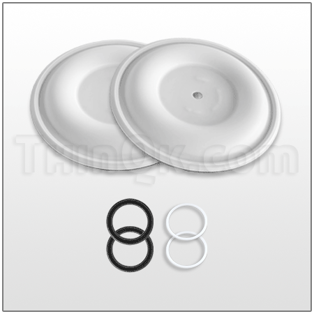 Diaphragm Kit (T24F398)