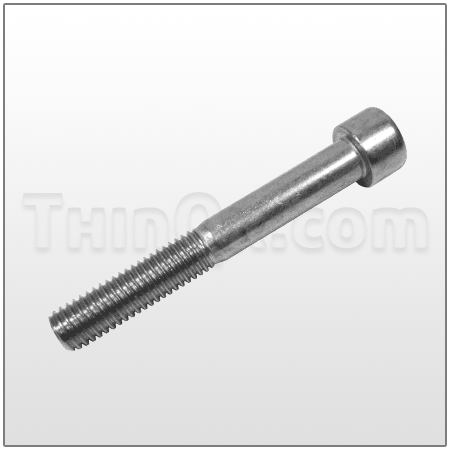 Socket head bolt (TE201G) SST