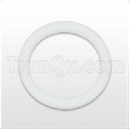 Seal (T720.038.600) PTFE