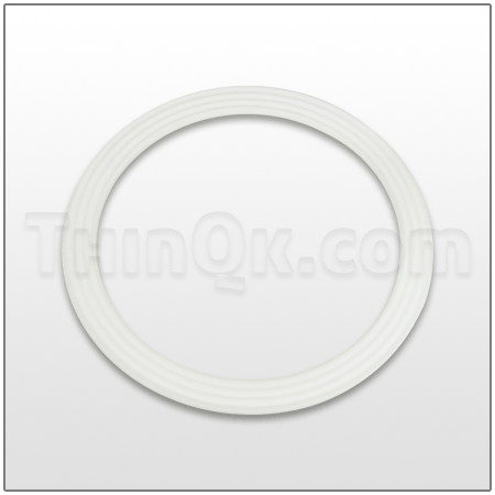 Seal (T720.039.600) PTFE