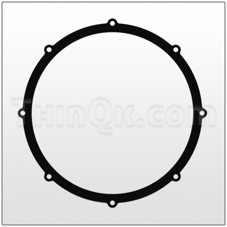Gasket (T360.039.363) FKM/VITON