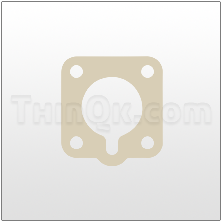 Gasket (T360.010.426)