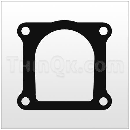 Gasket (T360.012.608) PTFE