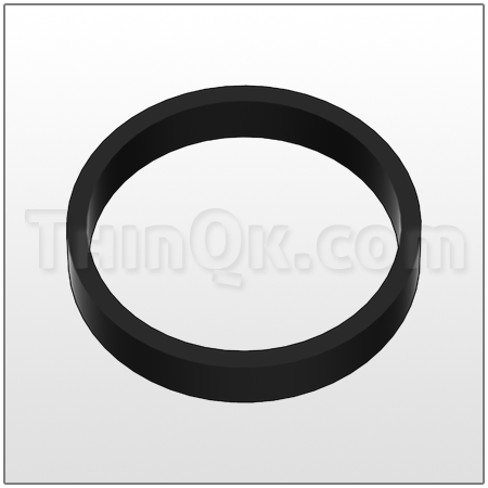 Gasket (T675.021.360) BUNA