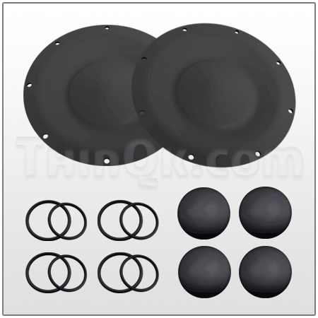 KIT LIQ (TTX420 ANN)