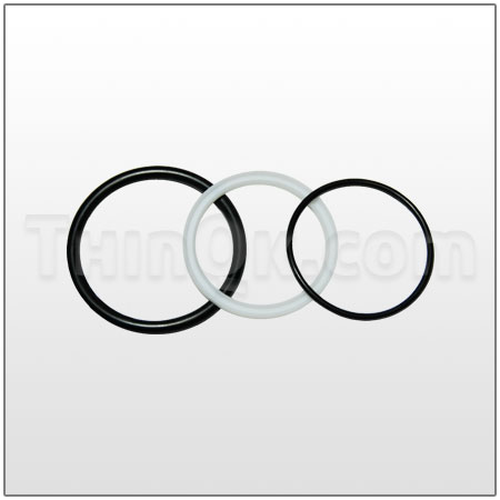 O-Ring Set (T6-100-18-1) PTFE