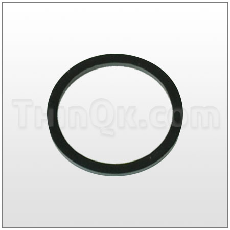 Gasket (T771241) BUNA
