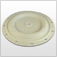 Diaphragm (T1B039) PTFE