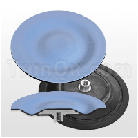 Diaphragm (T02-1166) PTFE