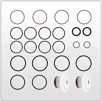 Air Valve Repair Kit (T111303-60)
