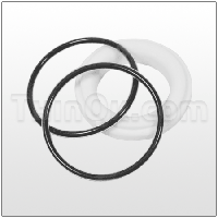 Seat/O-Ring (T500180760) PTFE/FEP