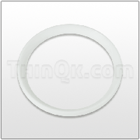 Seal (T720.043.600) PTFE