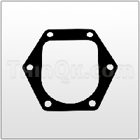 Gasket (T360.014.379) CONDUCTIVE BUNA