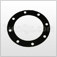 Gasket (T360.099.360) BUNA