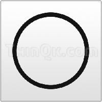 Gasket (T360.075.360) BUNA