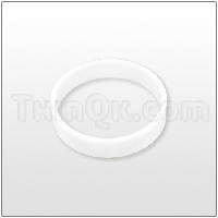 Seal (T675.021.600) PTFE