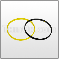 Piston Seal (T720.034.000)