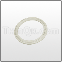 Gasket (T361.005.366)