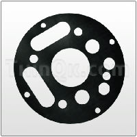 Gasket (T360.V001.360) BUNA