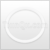 O-Ring (T272-643-060) PTFE