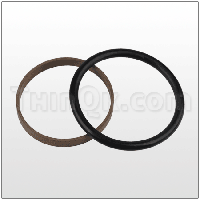 Seal/O-Ring (T500106---)
